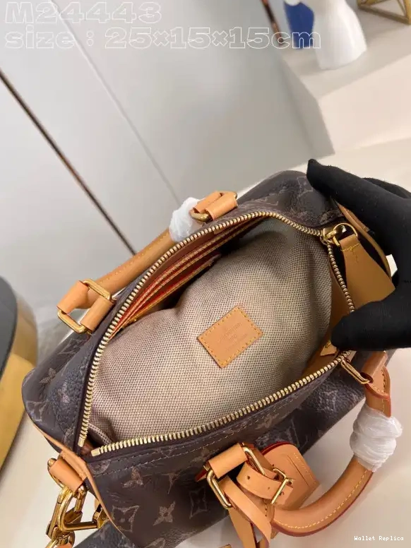 Affordable Louis SPEEDY 25 Vuitton 0707